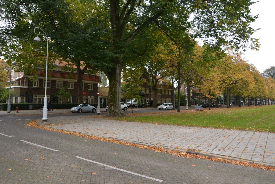 Apollolaan vanaf nr. 50
