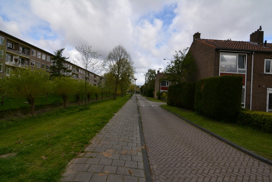 Archimedesplantsoen