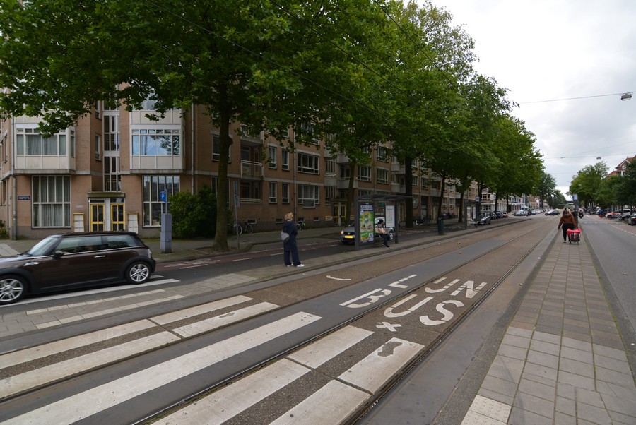 Ferdinand Bolstraat