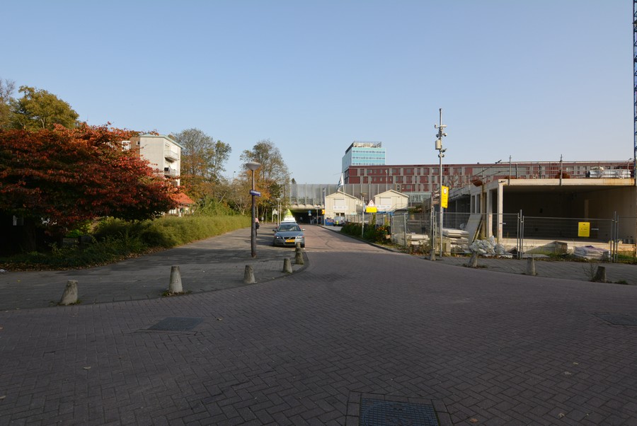 Leeuwendalersweg vanaf Jan van Schaffelaarplantsoen