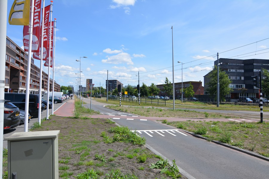Pieter Calandlaan