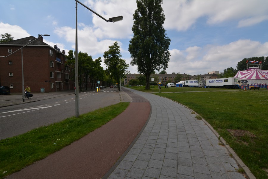 Werengouw vanaf Katrijpstraat-1