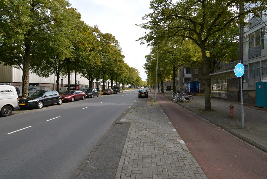 Willem de Zwijgerlaan vanaf Juliana van Stolbergstraat